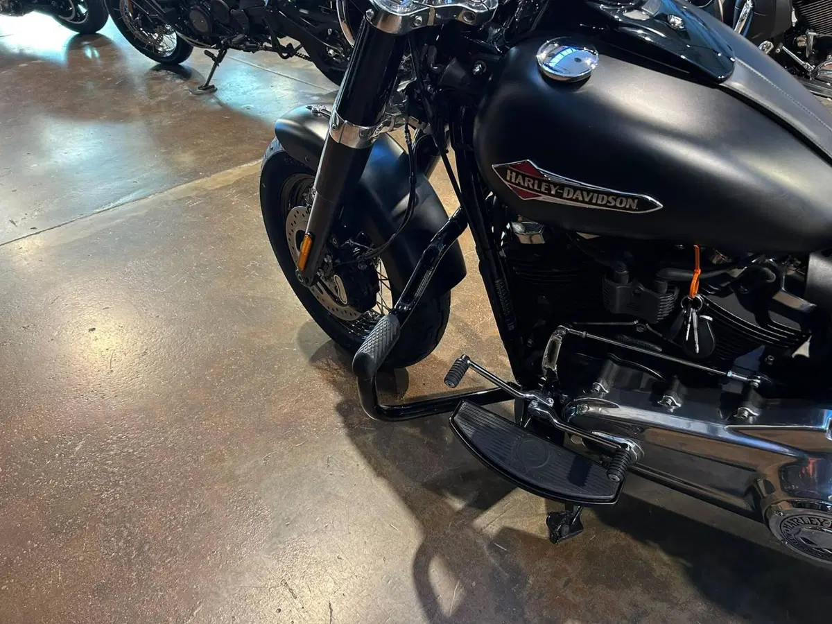 Harley-Davidson 107 Slim (2018 - 20) - FLSL (4)
