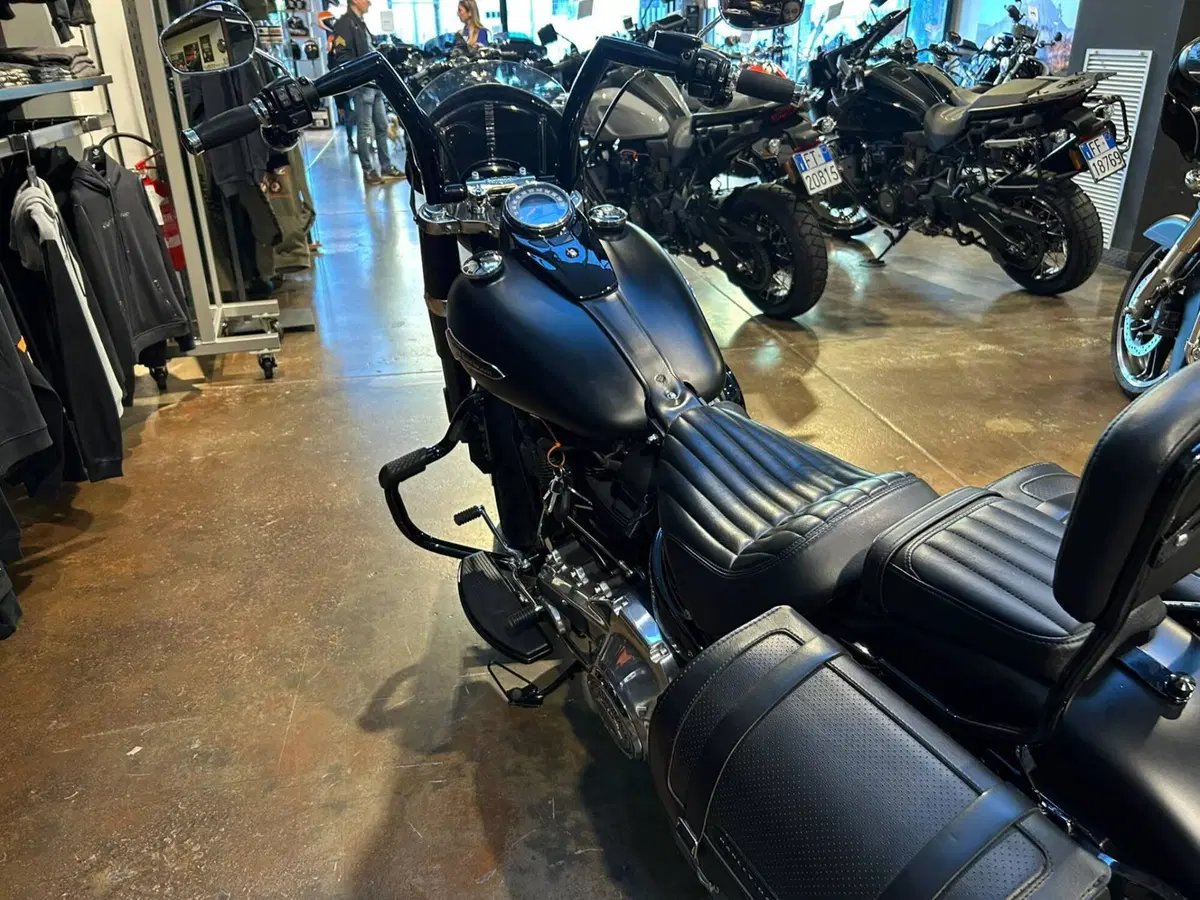 Harley-Davidson 107 Slim (2018 - 20) - FLSL (5)