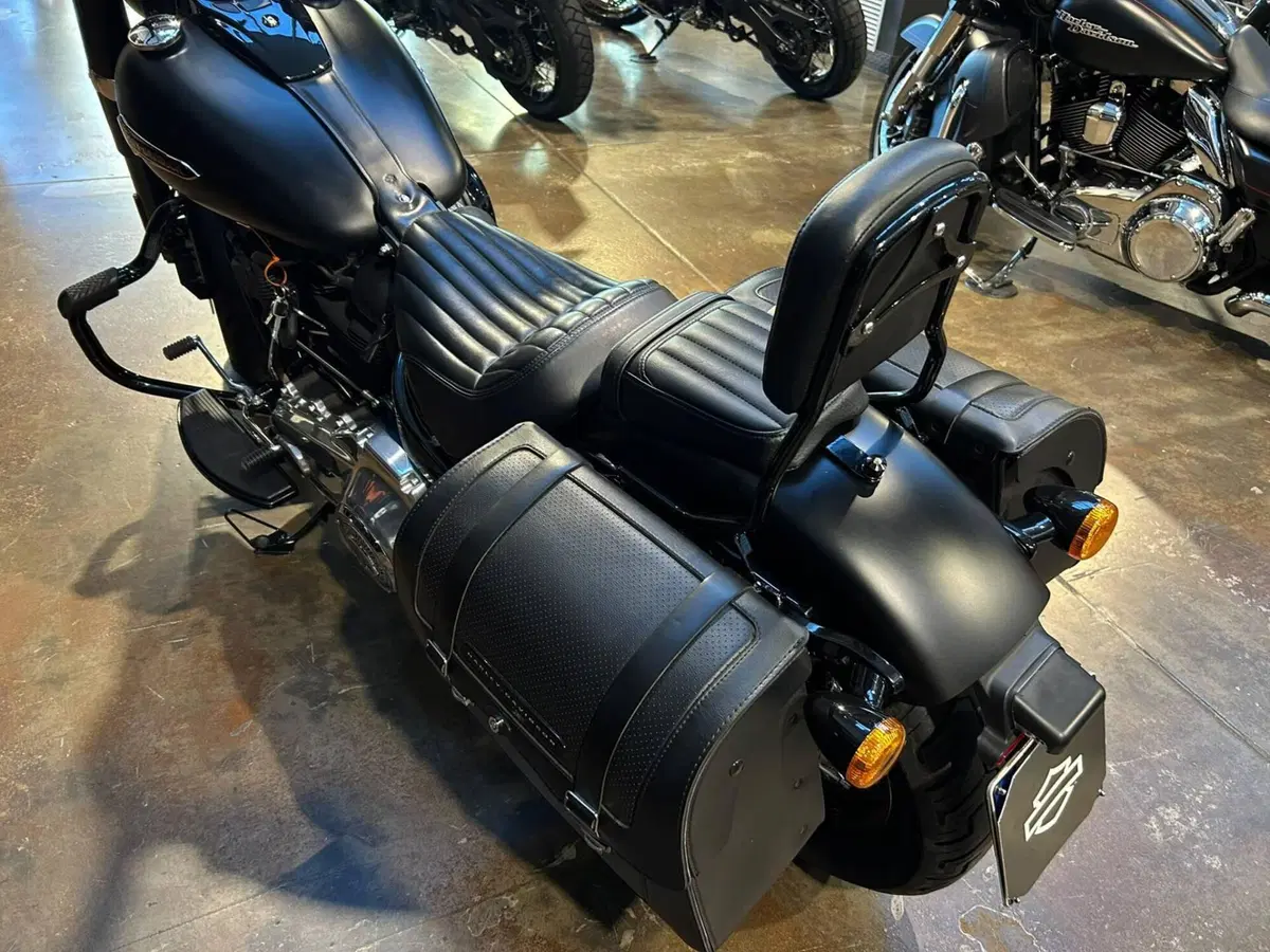Harley-Davidson 107 Slim (2018 - 20) - FLSL (6)