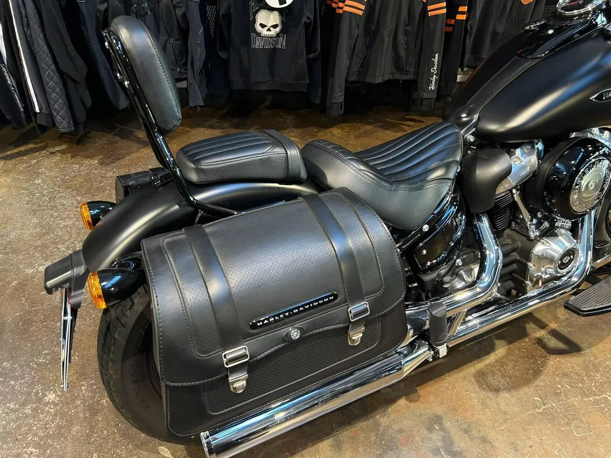 Harley-Davidson 107 Slim (2018 - 20) - FLSL (7)