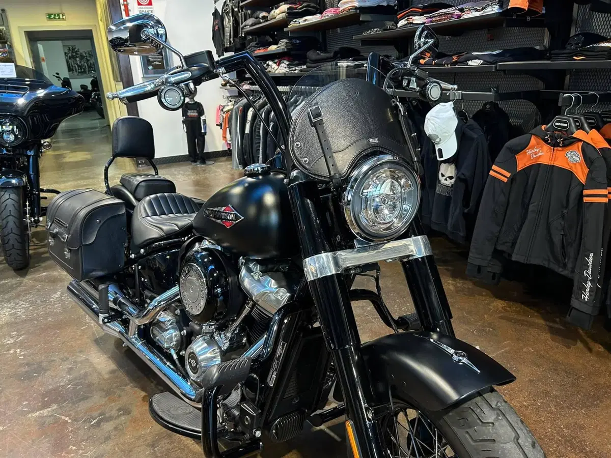 Harley-Davidson 107 Slim (2018 - 20) - FLSL (8)