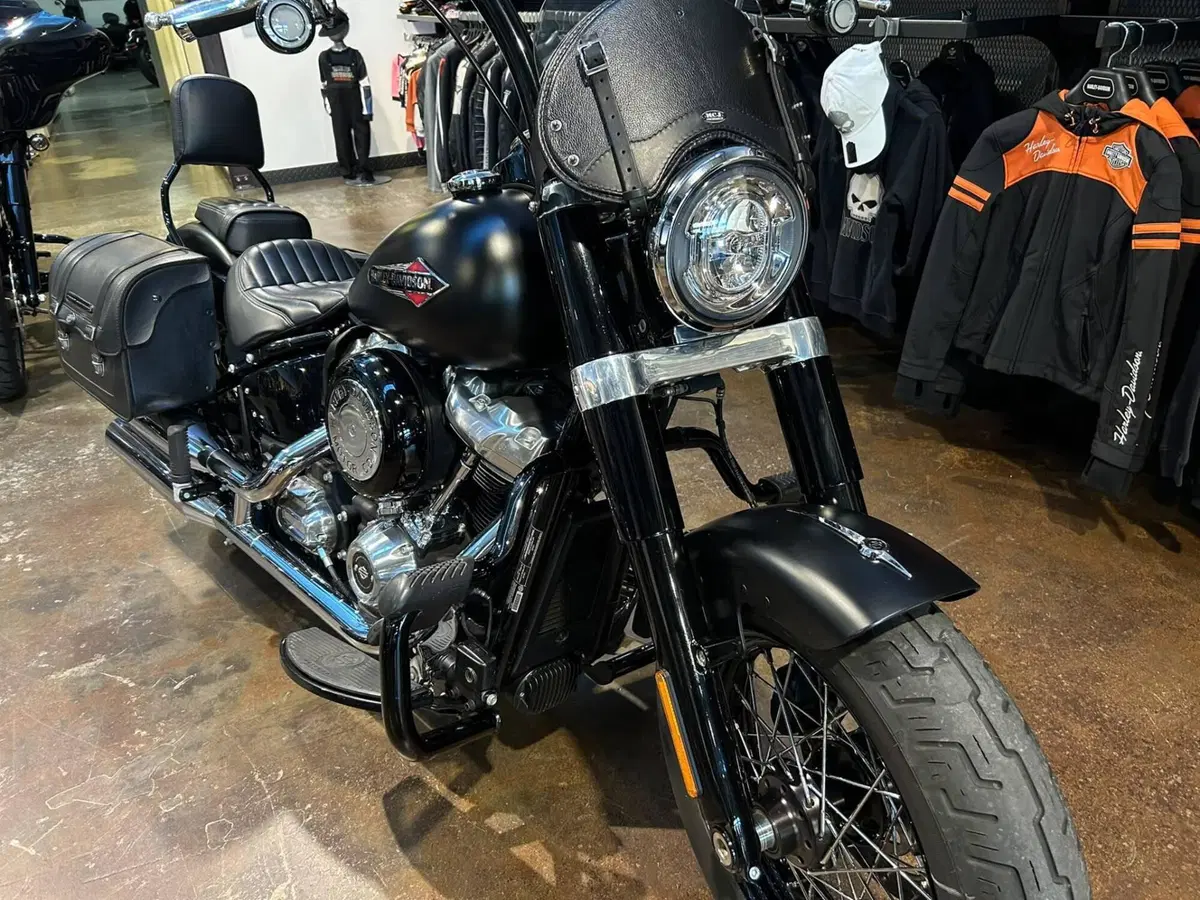 Harley-Davidson 107 Slim (2018 - 20) - FLSL (9)