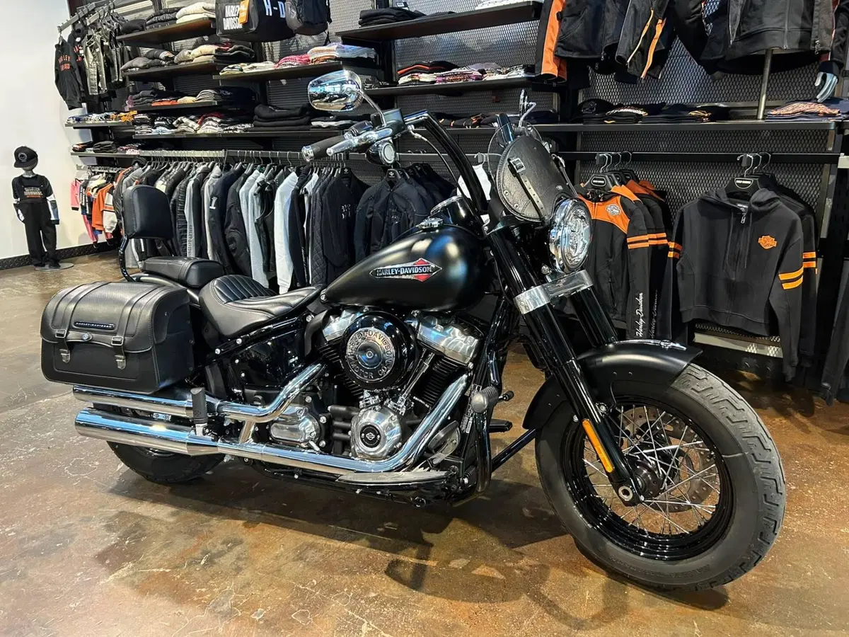 Harley-Davidson 107 Slim (2018 - 20) - FLSL (10)