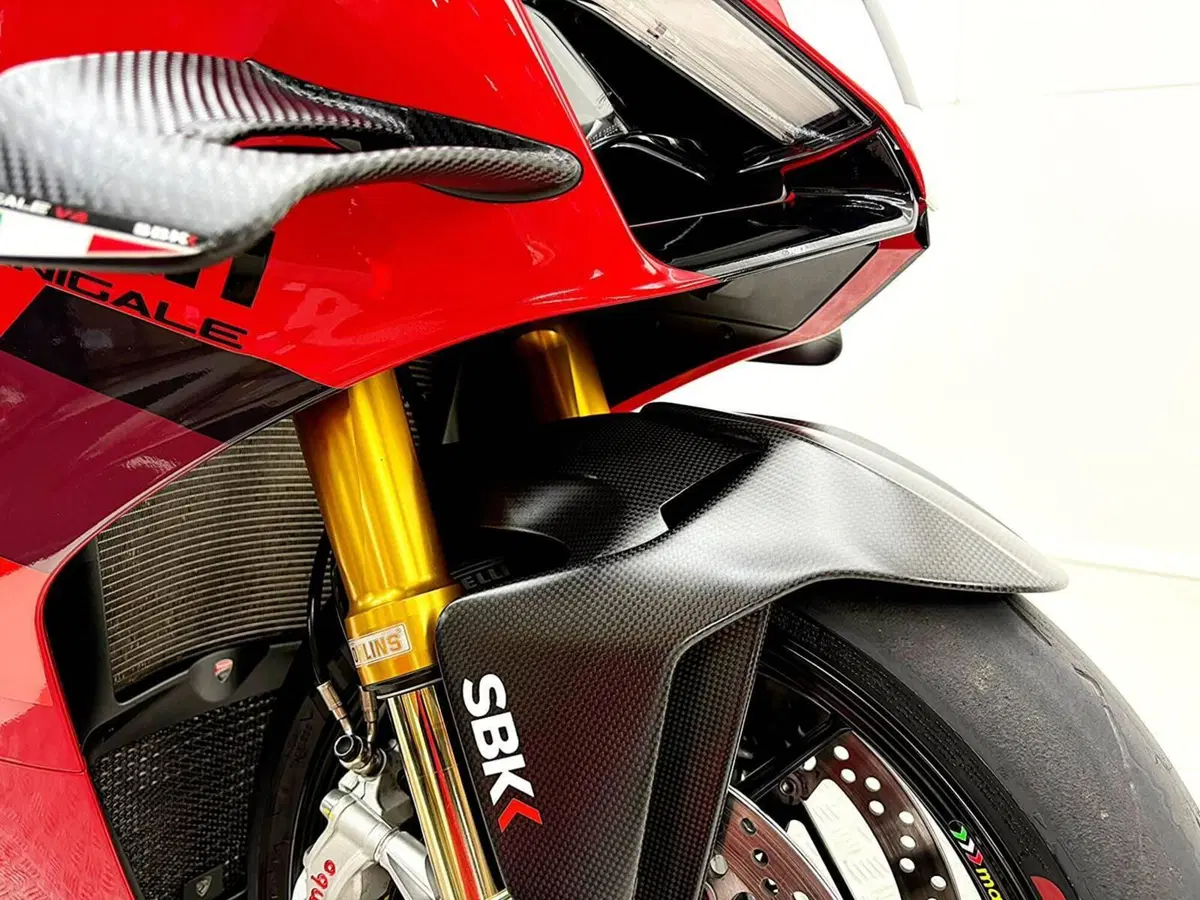 Ducati Panigale V4 (2022 - 24) (6)