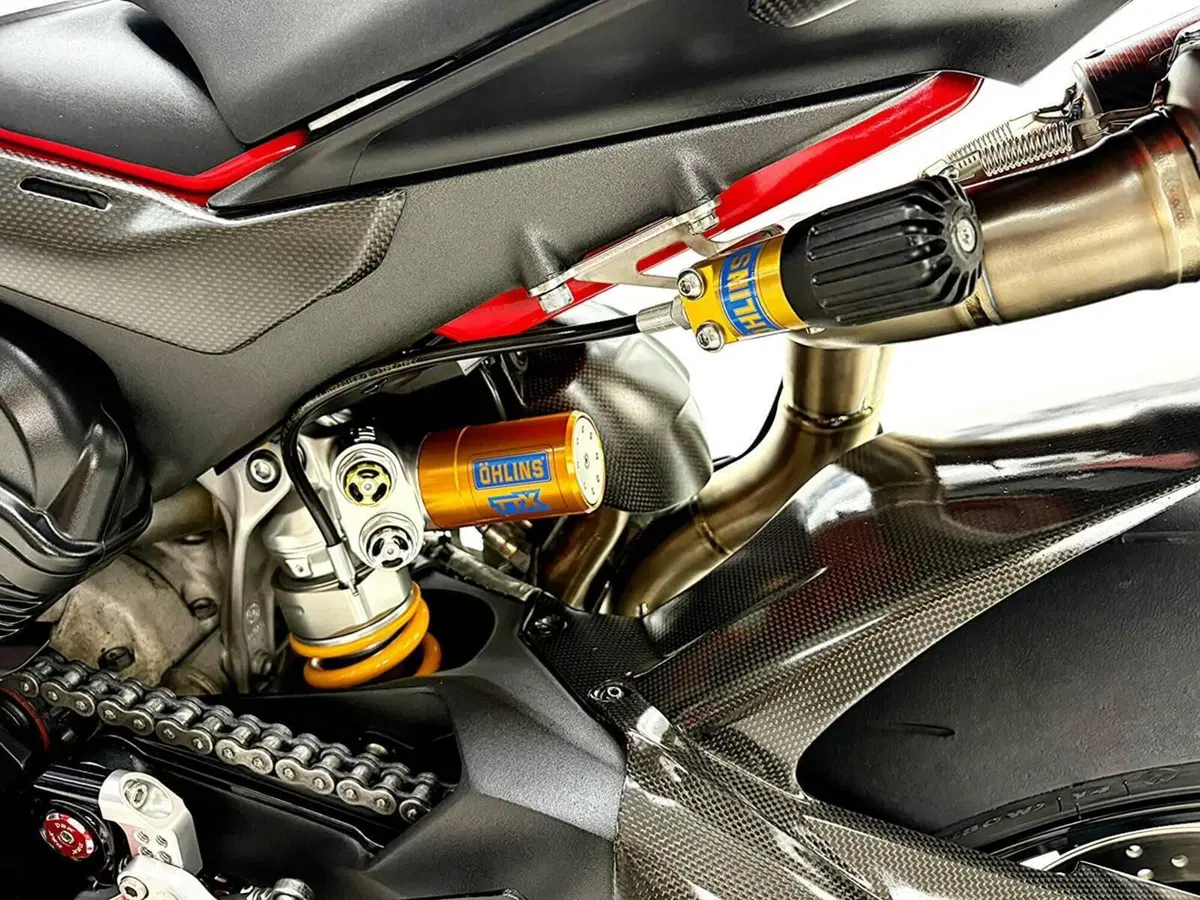 Ducati Panigale V4 (2022 - 24) (20)