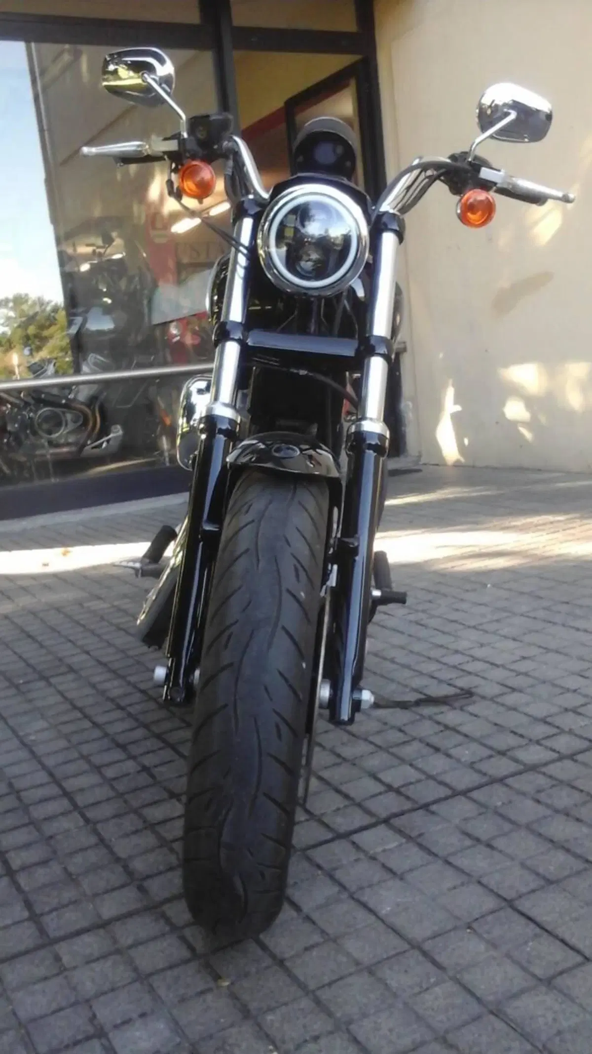 Harley-Davidson 883 Custom (2008 - 12) - XL 883C (3)