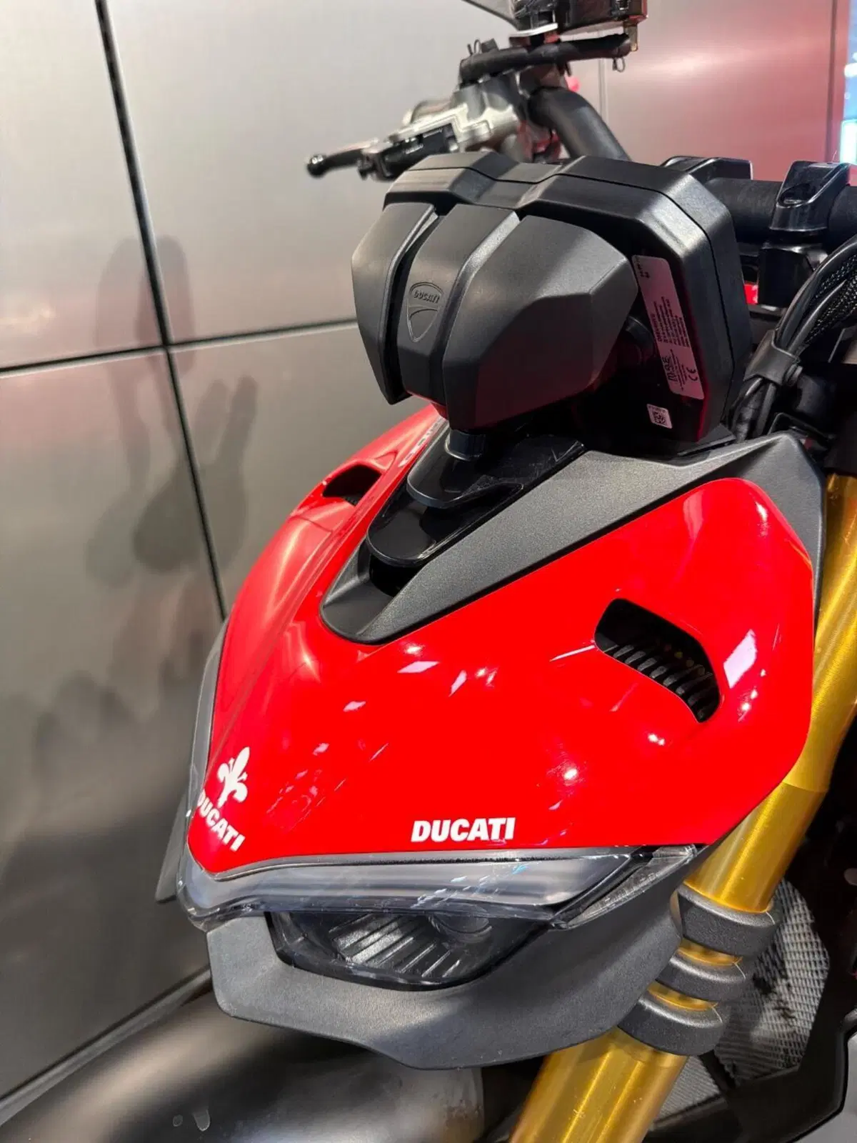 Ducati Streetfighter V4 1100 S (2021 - 22) (20)
