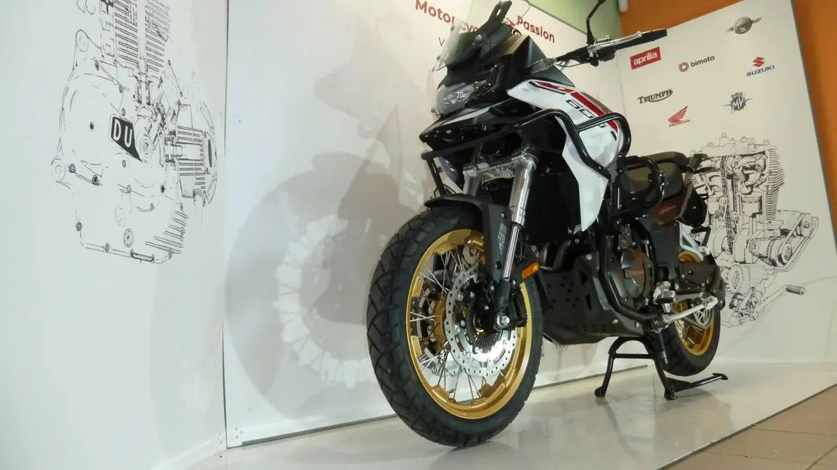 Cyclone RX600 (2025 - 26) (5)