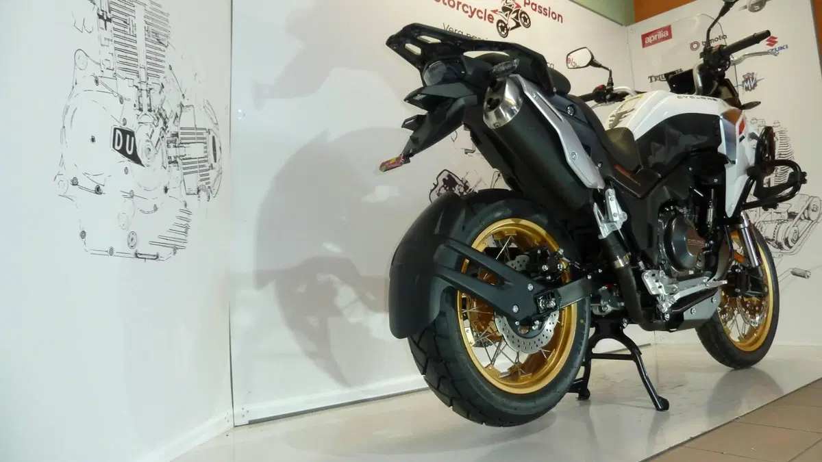 Cyclone RX600 (2025 - 26) (7)