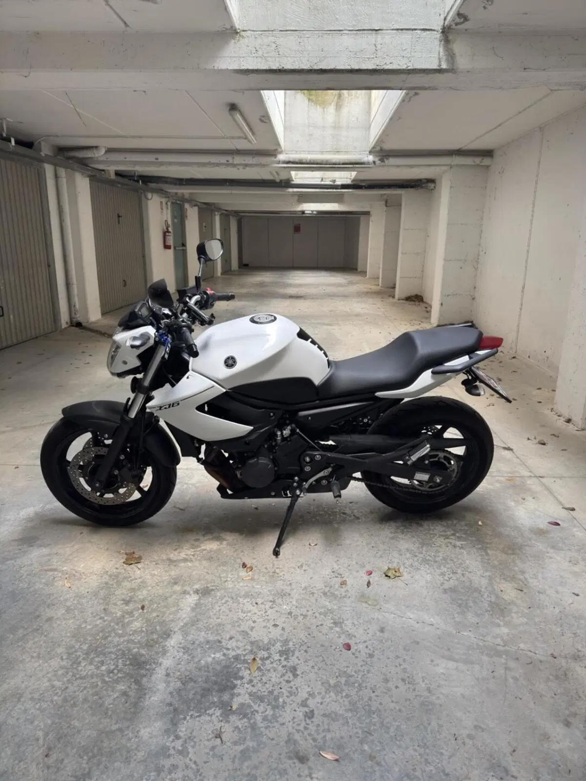 Yamaha XJ6 (2008 - 15) (2)