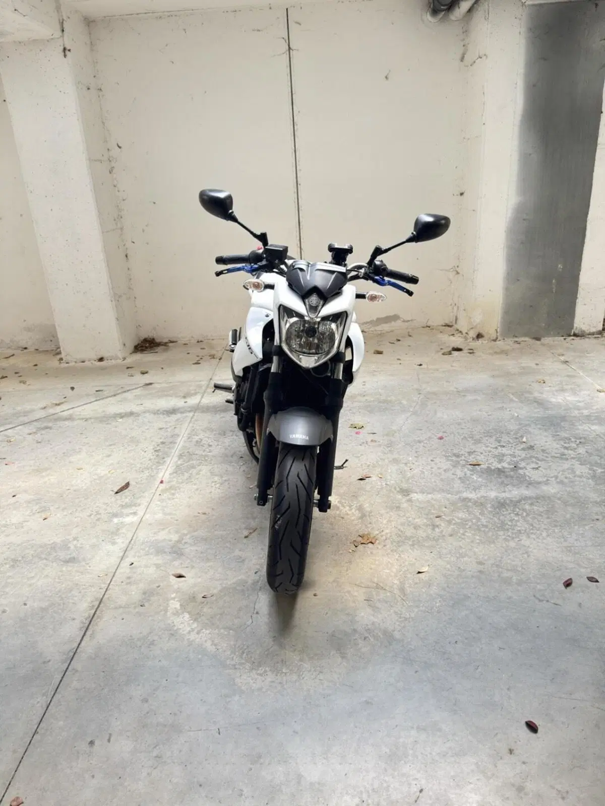 Yamaha XJ6 (2008 - 15) (3)