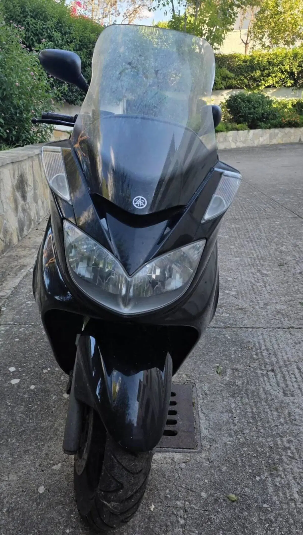 Yamaha Majesty 400 (2004 - 08) (2)