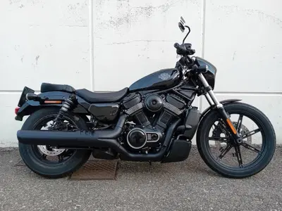 Harley-Davidson Nightster (2023 - 26) usata