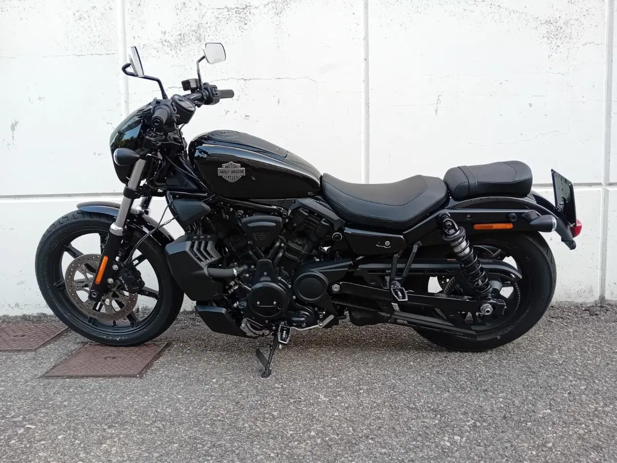 Harley-Davidson Nightster (2023 - 26) (2)