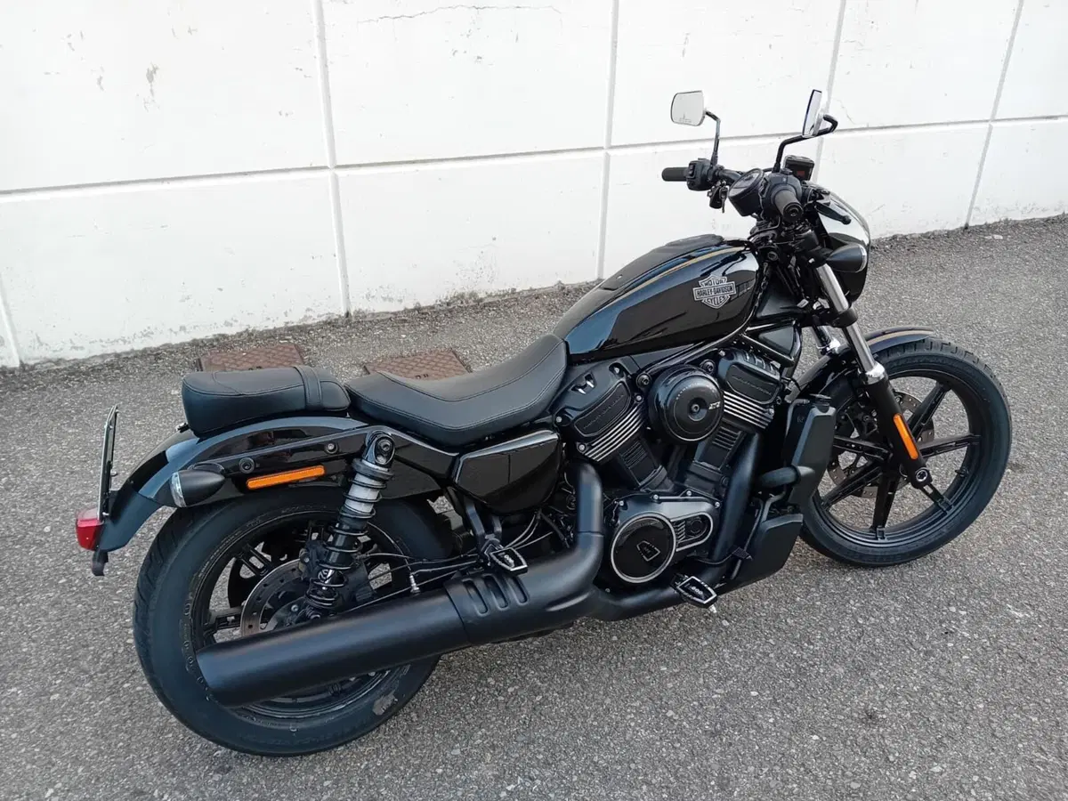 Harley-Davidson Nightster (2023 - 26) (4)