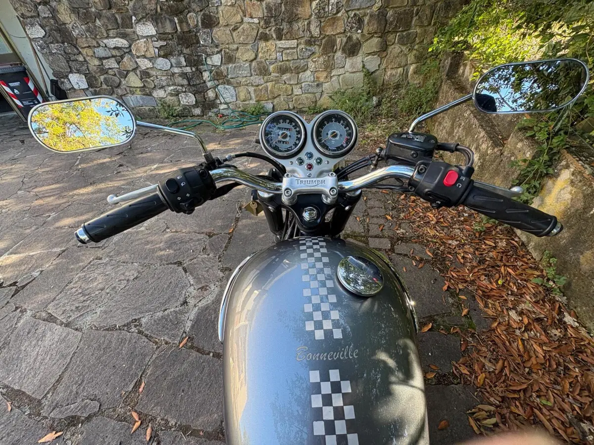 Triumph Bonneville T100 (2001 - 07) (6)