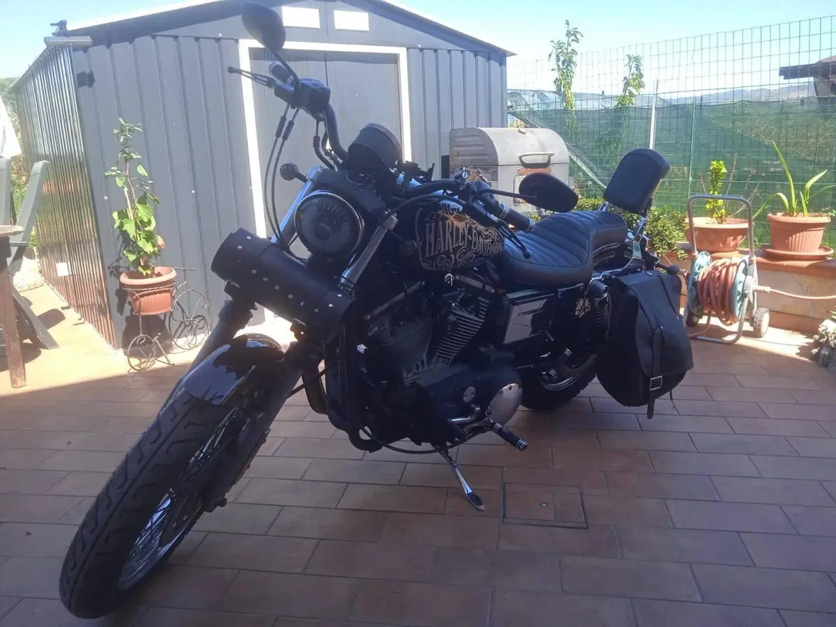 Harley-Davidson 883 Hugger (2001 - 02) - XLH (4)