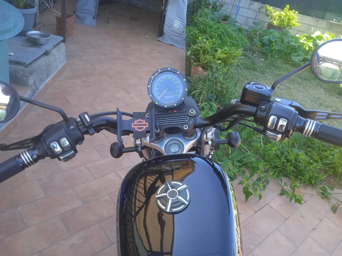 Harley-Davidson 883 Hugger (2001 - 02) - XLH (5)