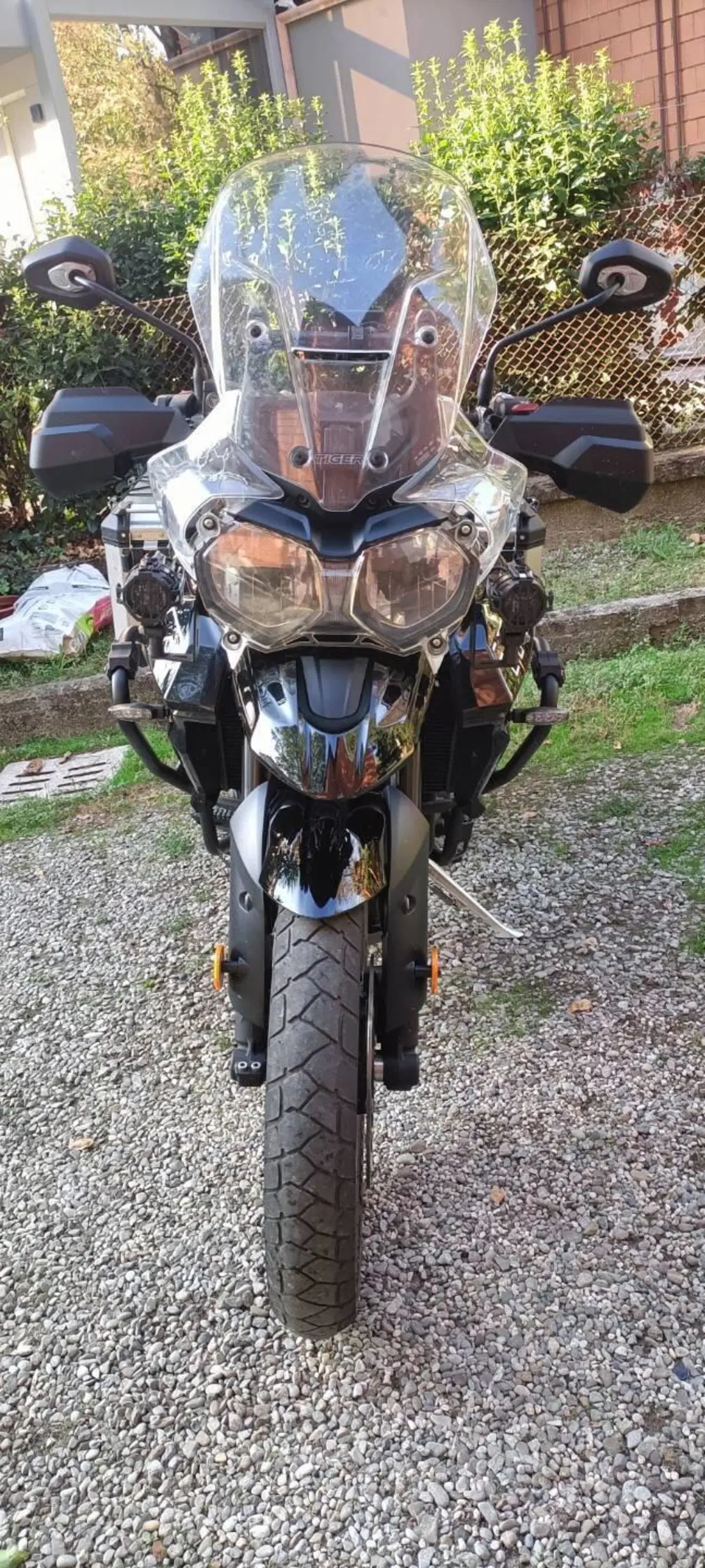 Triumph Tiger 800 XRx (2018 - 20) (3)