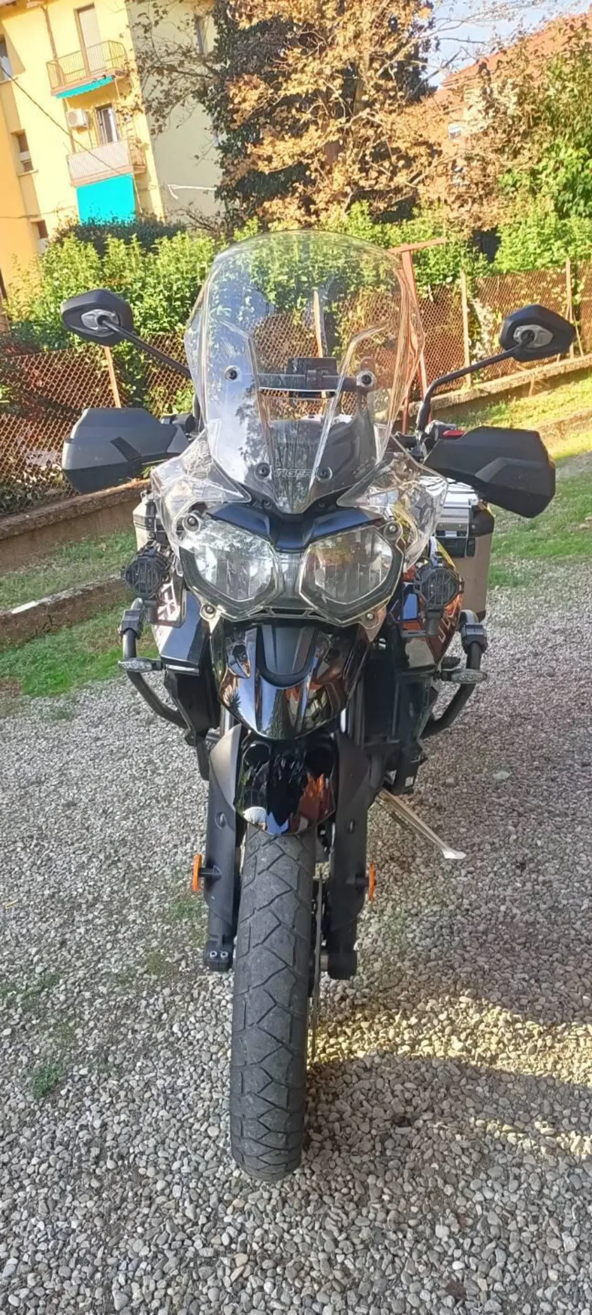 Triumph Tiger 800 XRx (2018 - 20) (5)