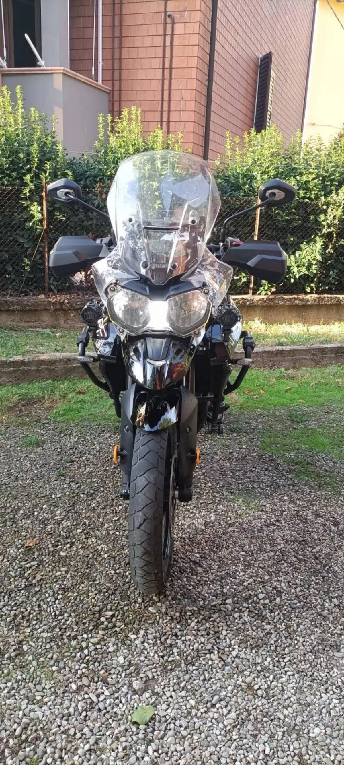 Triumph Tiger 800 XRx (2018 - 20) (7)