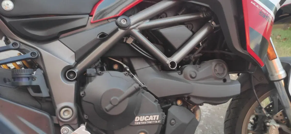Ducati Multistrada 950 (2019 - 20) (3)