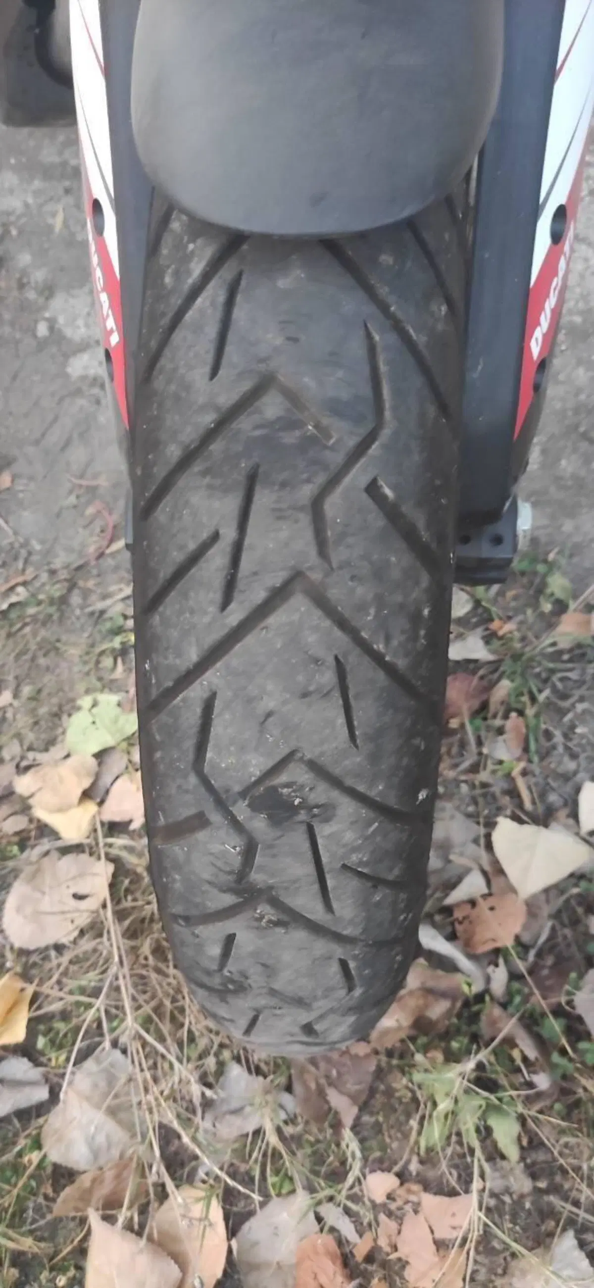 Ducati Multistrada 950 (2019 - 20) (6)