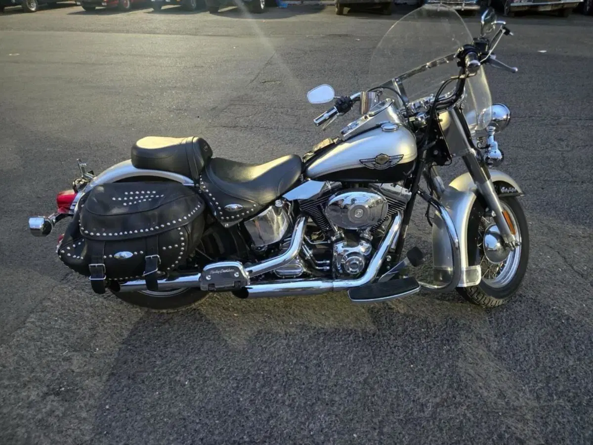 Harley-Davidson 1450 Heritage Classic (2003 - 05) - FLSTCI (8)