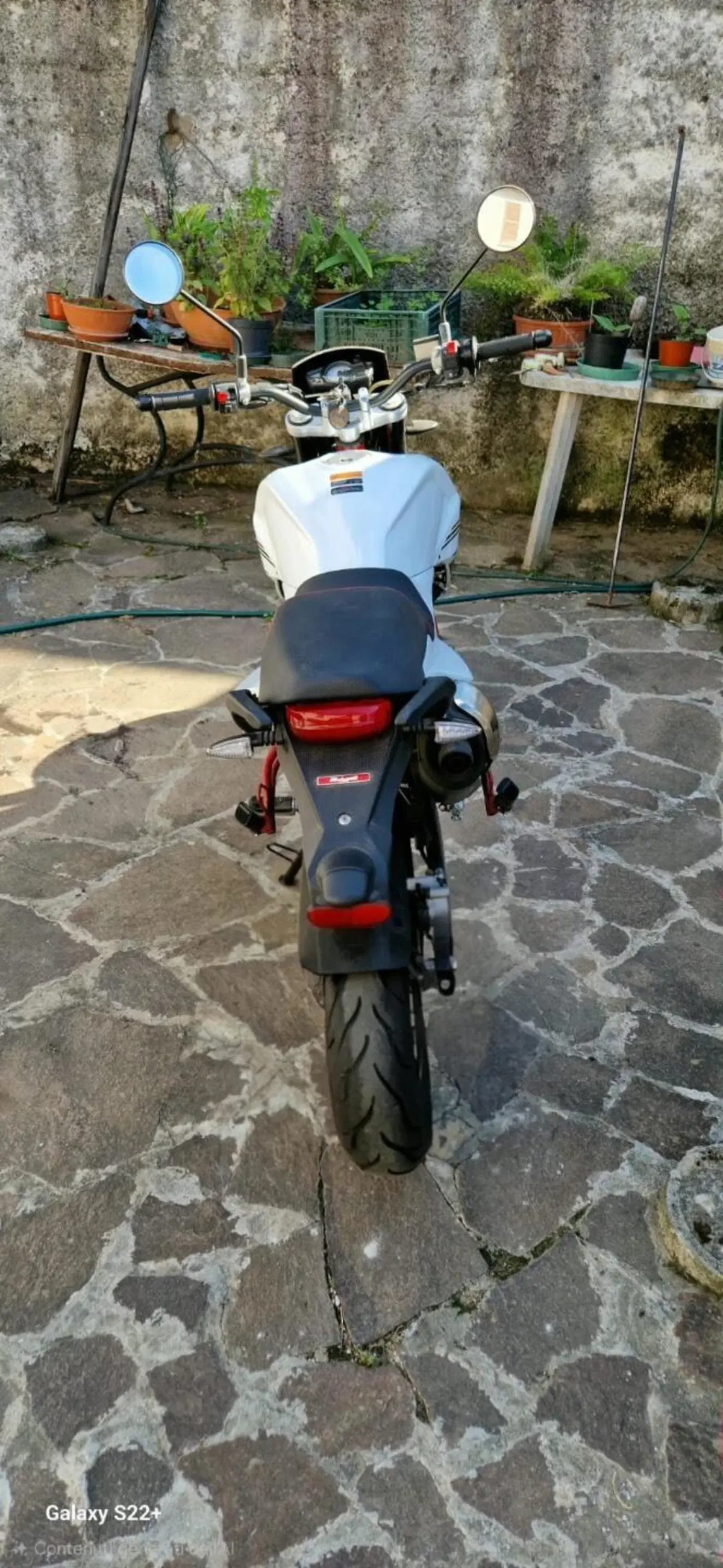 Malaguti Monte Pro 125 (2019 - 20) (5)