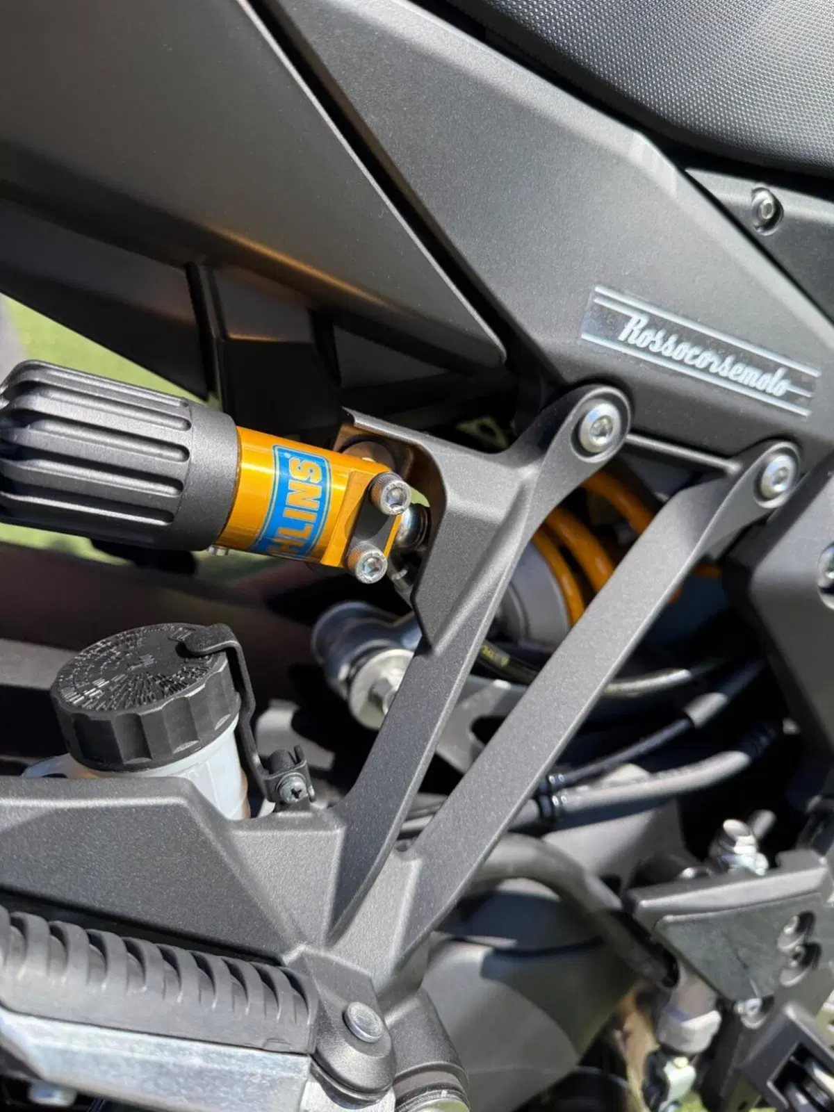 Kawasaki Ninja 1100 SX SE Performance (2025 - 26) (10)