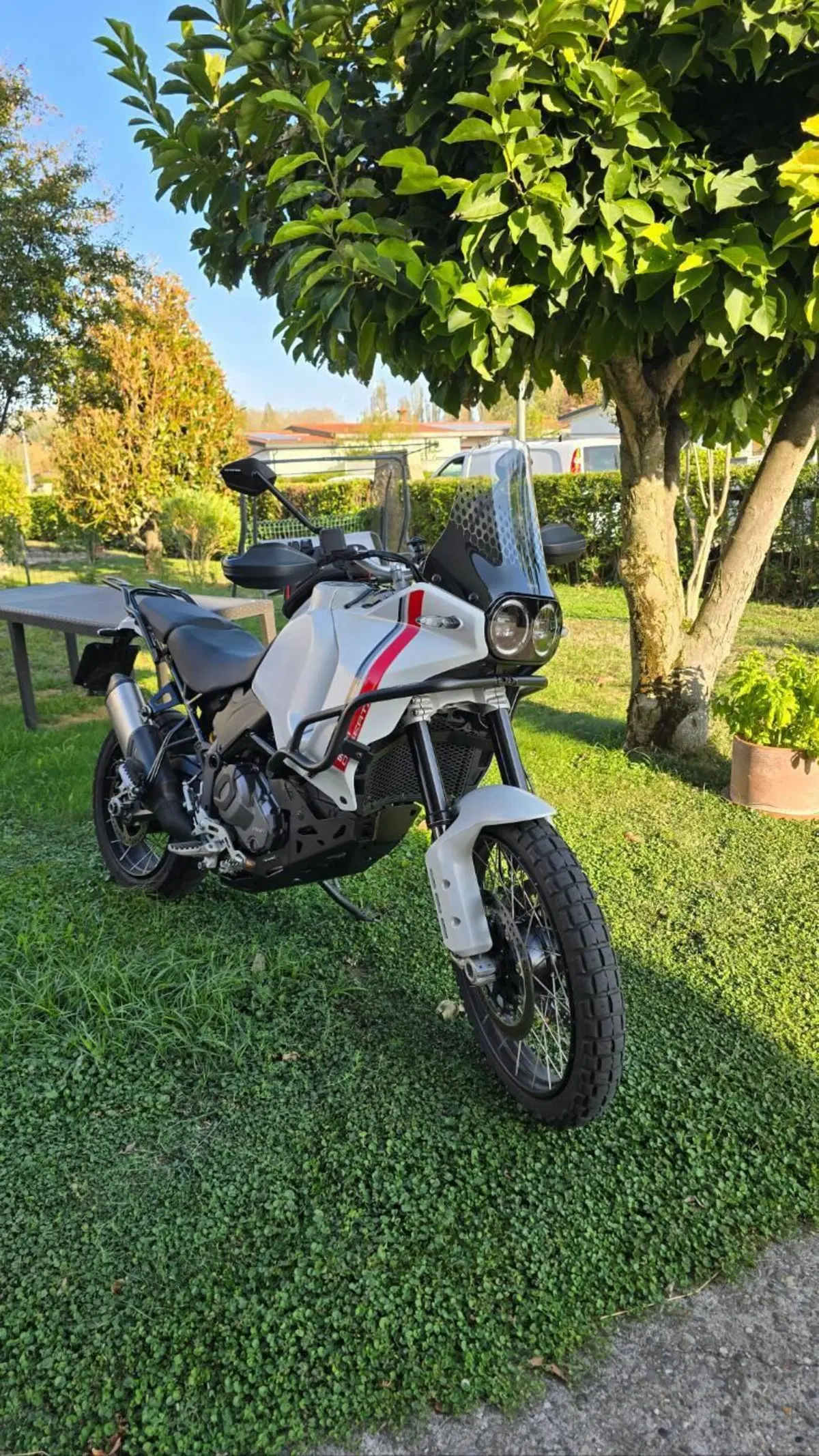 Ducati DesertX (2022 - 25) (5)