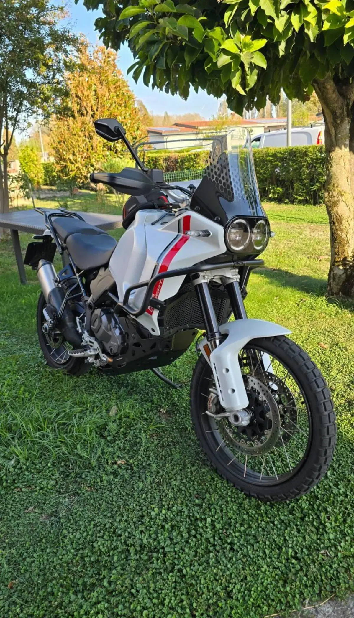 Ducati DesertX (2022 - 25)