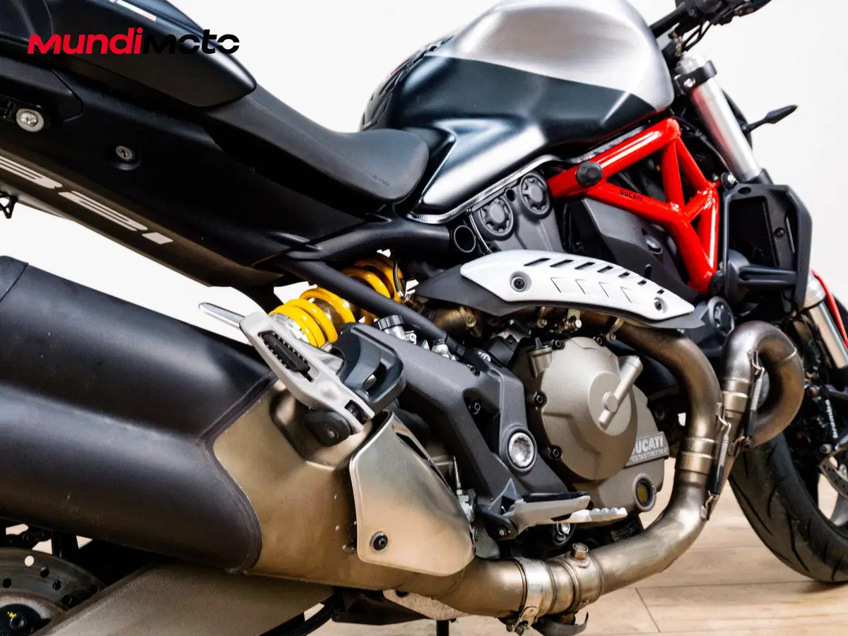 Ducati Monster 821 (2018 - 20) (4)