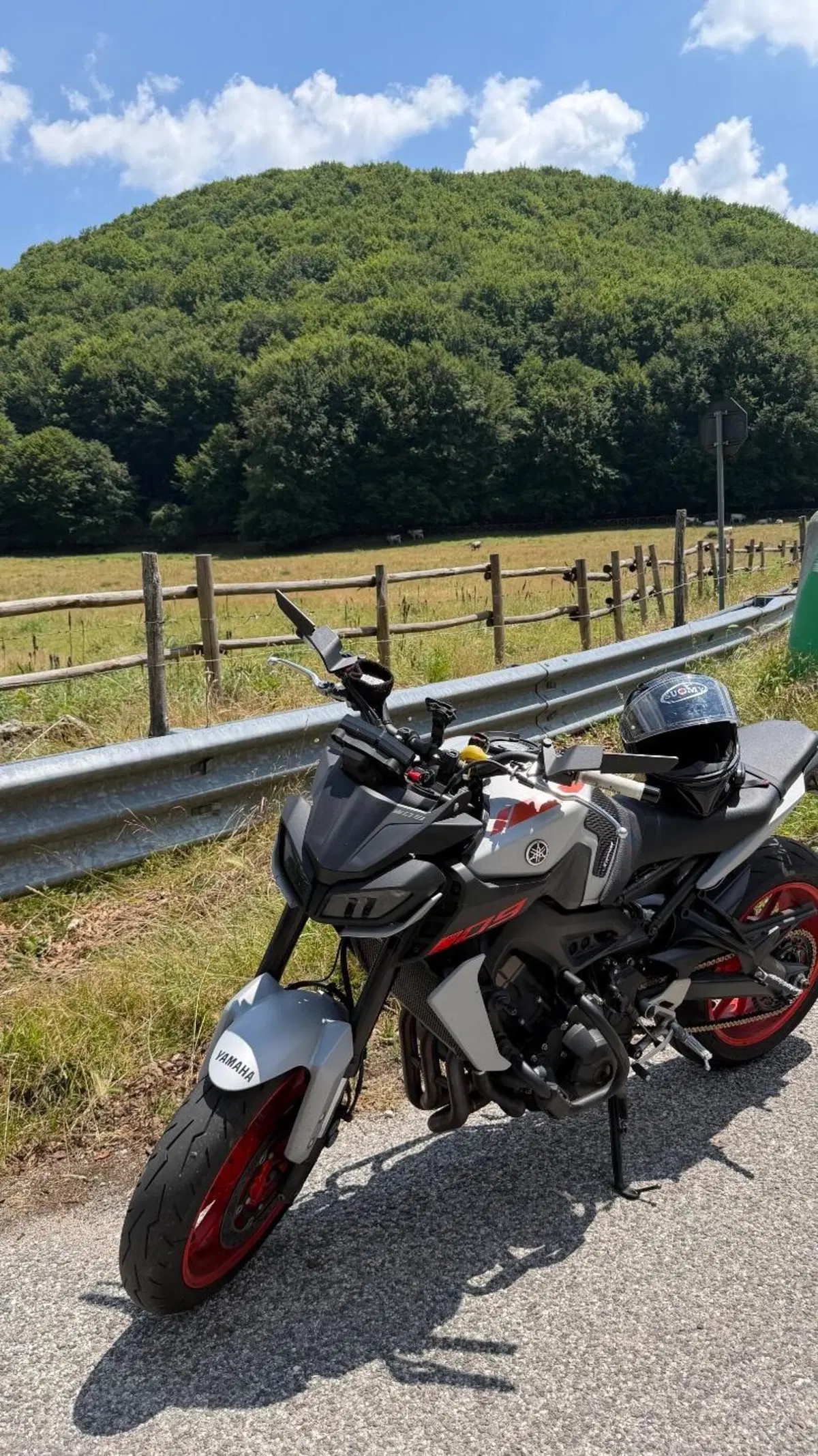 Yamaha MT-09 (2017 - 20) (3)