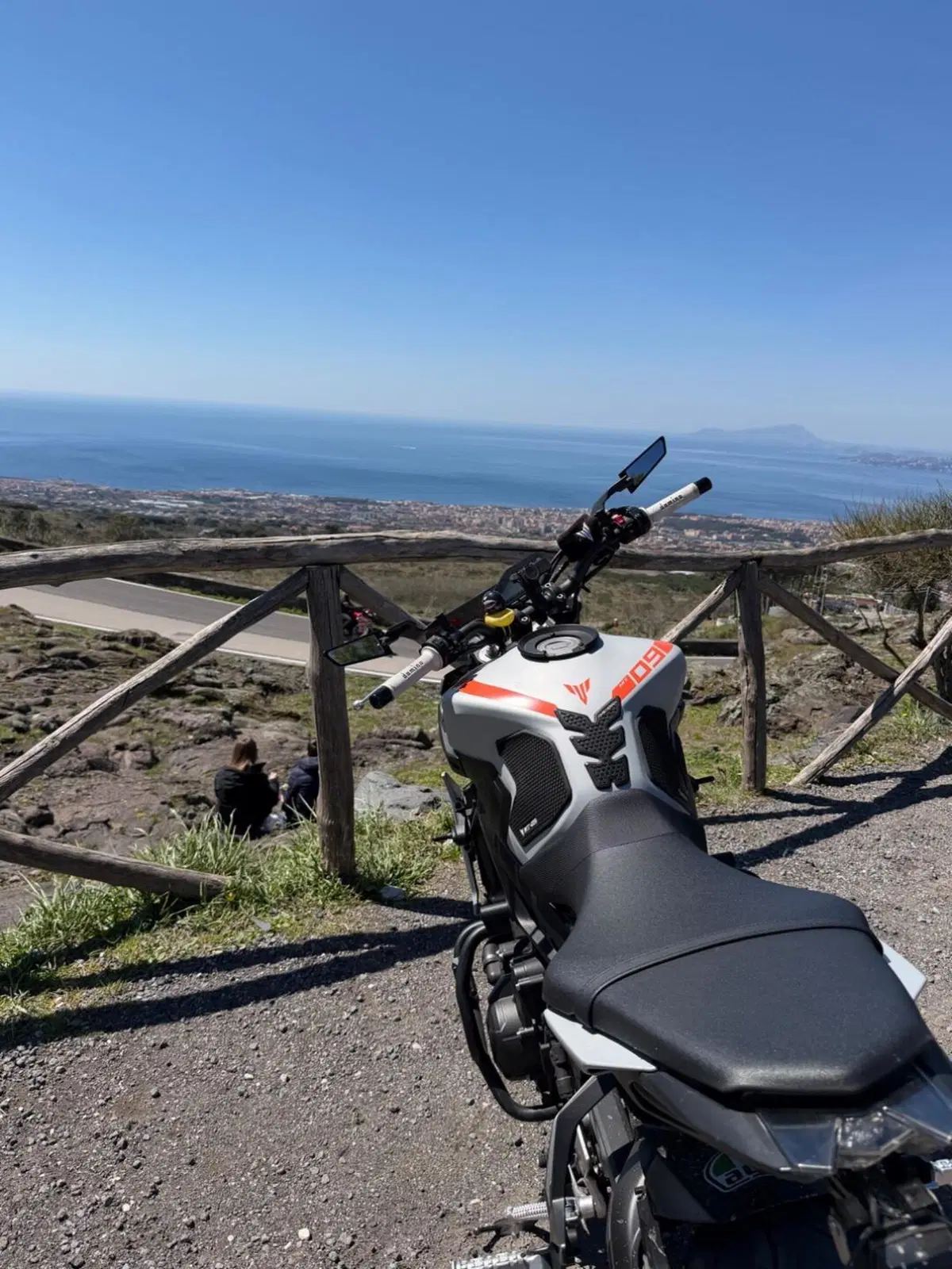 Yamaha MT-09 (2017 - 20) (6)