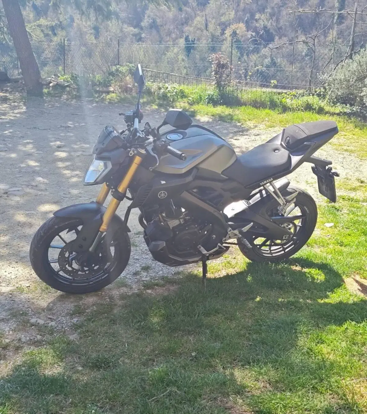 Yamaha MT-125 ABS (2015 - 16) (2)