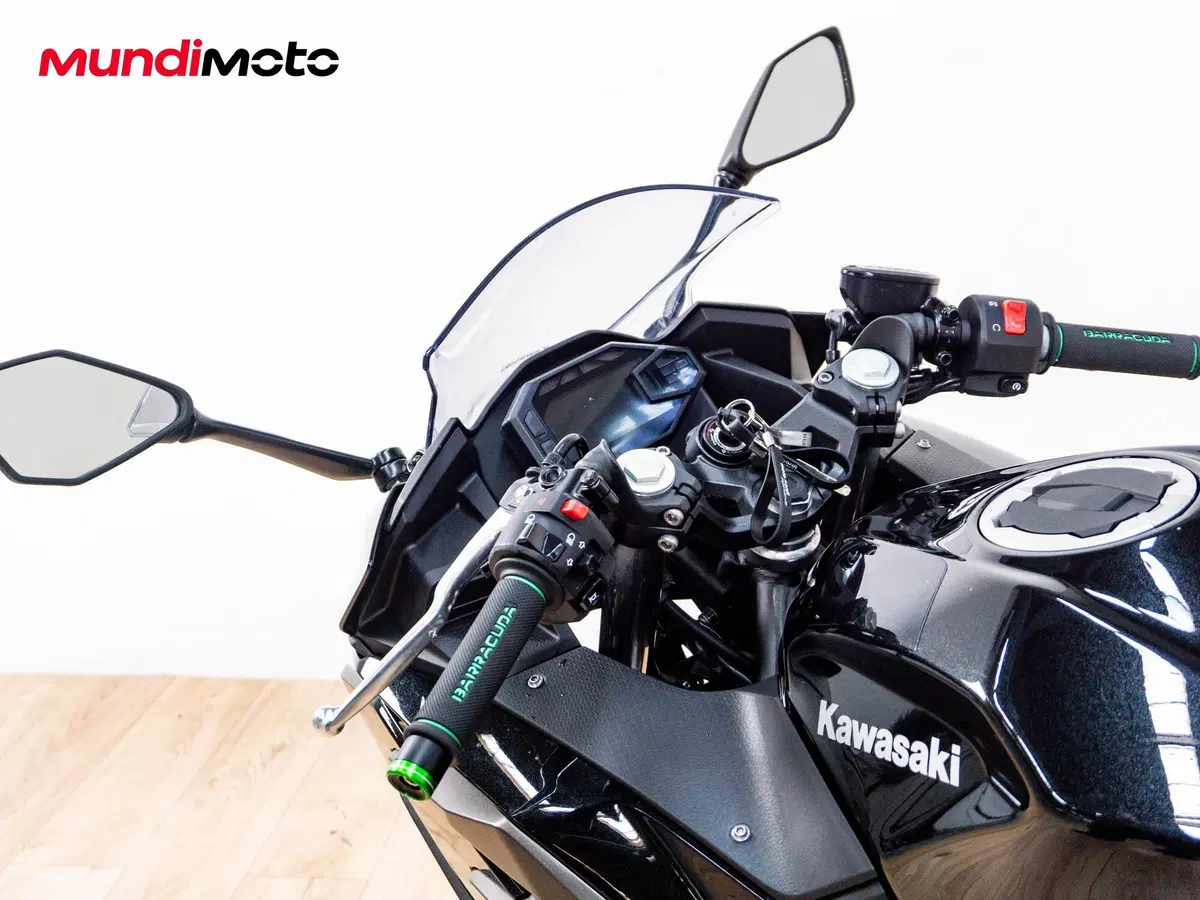Kawasaki Ninja 500 (2024 - 26) (11)