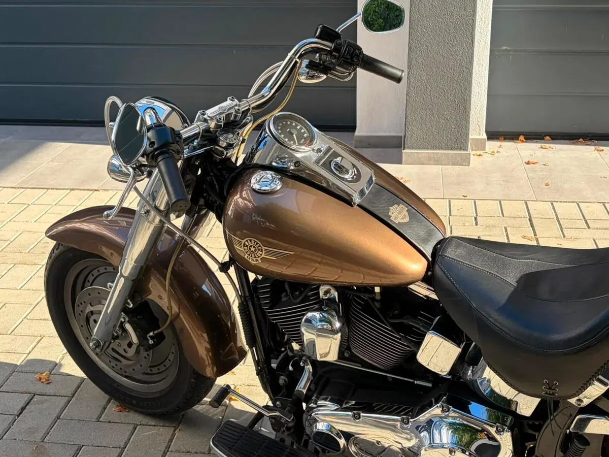 Harley-Davidson 1450 Fat Boy (1999 - 02) - FLSTF (3)