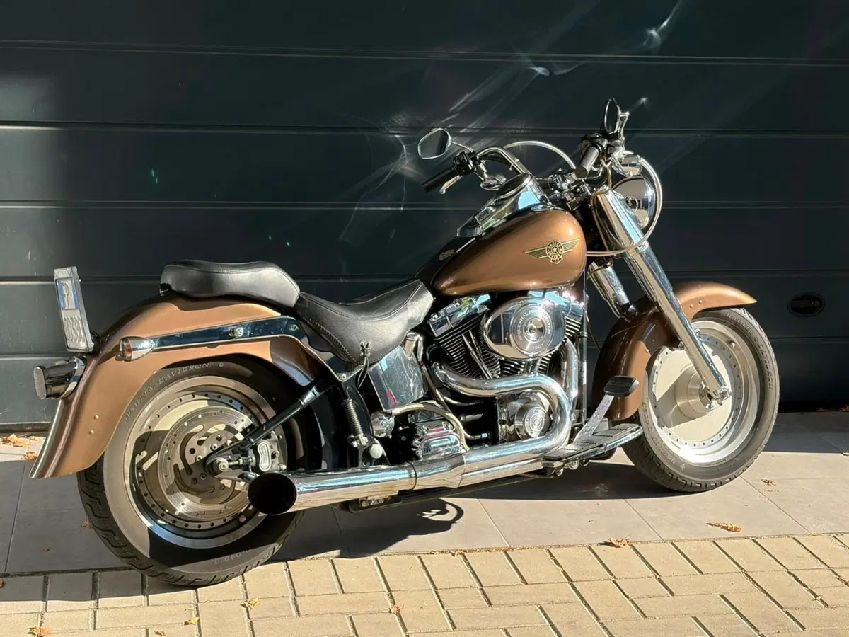 Harley-Davidson 1450 Fat Boy (1999 - 02) - FLSTF (4)