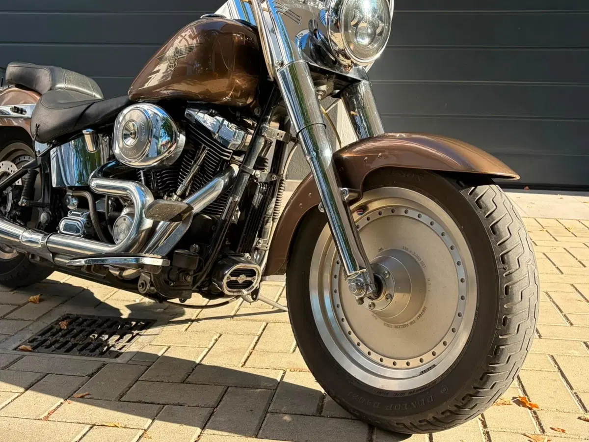 Harley-Davidson 1450 Fat Boy (1999 - 02) - FLSTF (5)