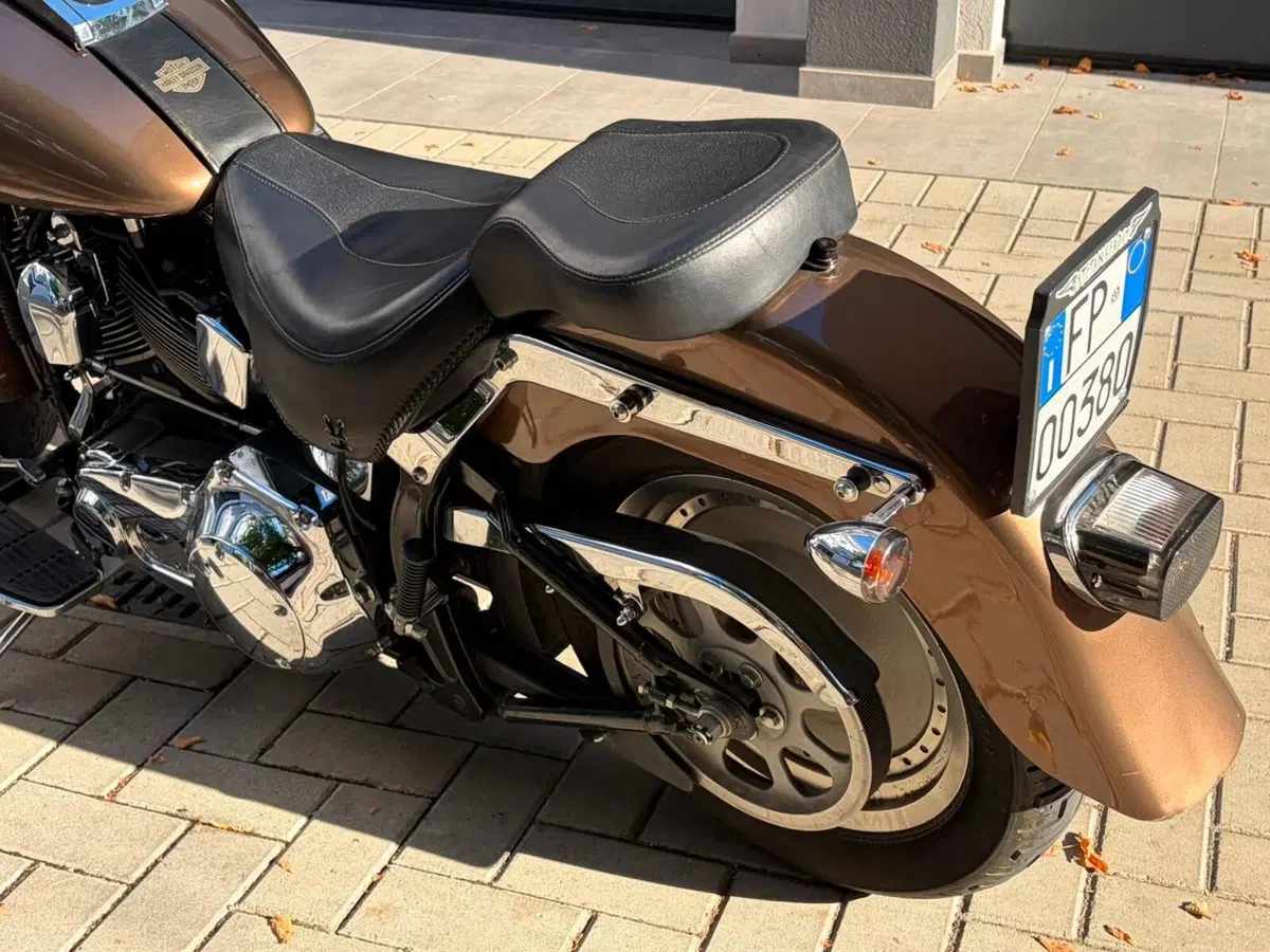 Harley-Davidson 1450 Fat Boy (1999 - 02) - FLSTF (6)