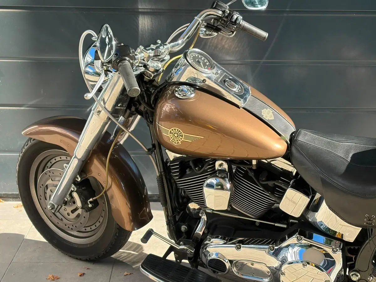 Harley-Davidson 1450 Fat Boy (1999 - 02) - FLSTF (7)