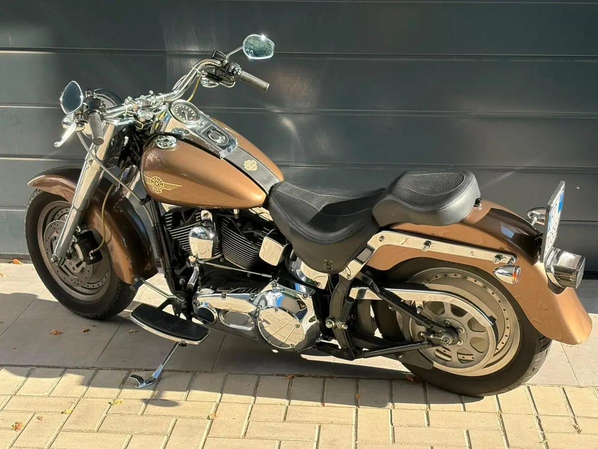 Harley-Davidson 1450 Fat Boy (1999 - 02) - FLSTF (8)