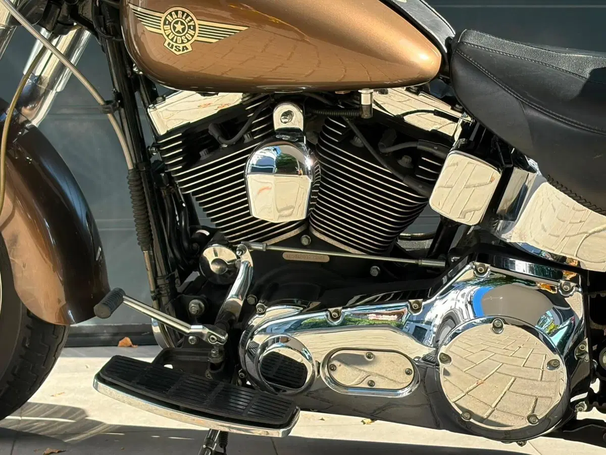 Harley-Davidson 1450 Fat Boy (1999 - 02) - FLSTF (9)