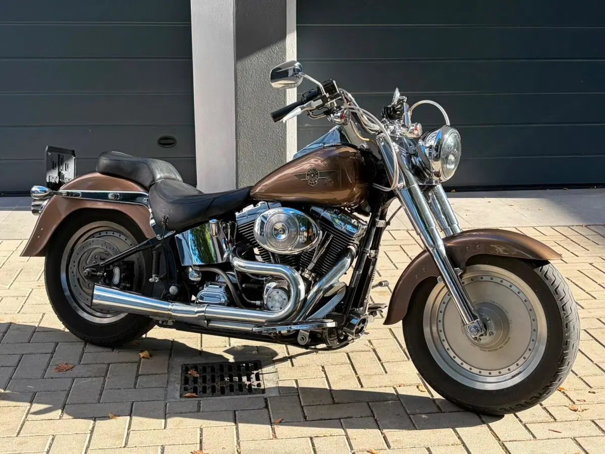 Harley-Davidson 1450 Fat Boy (1999 - 02) - FLSTF (11)