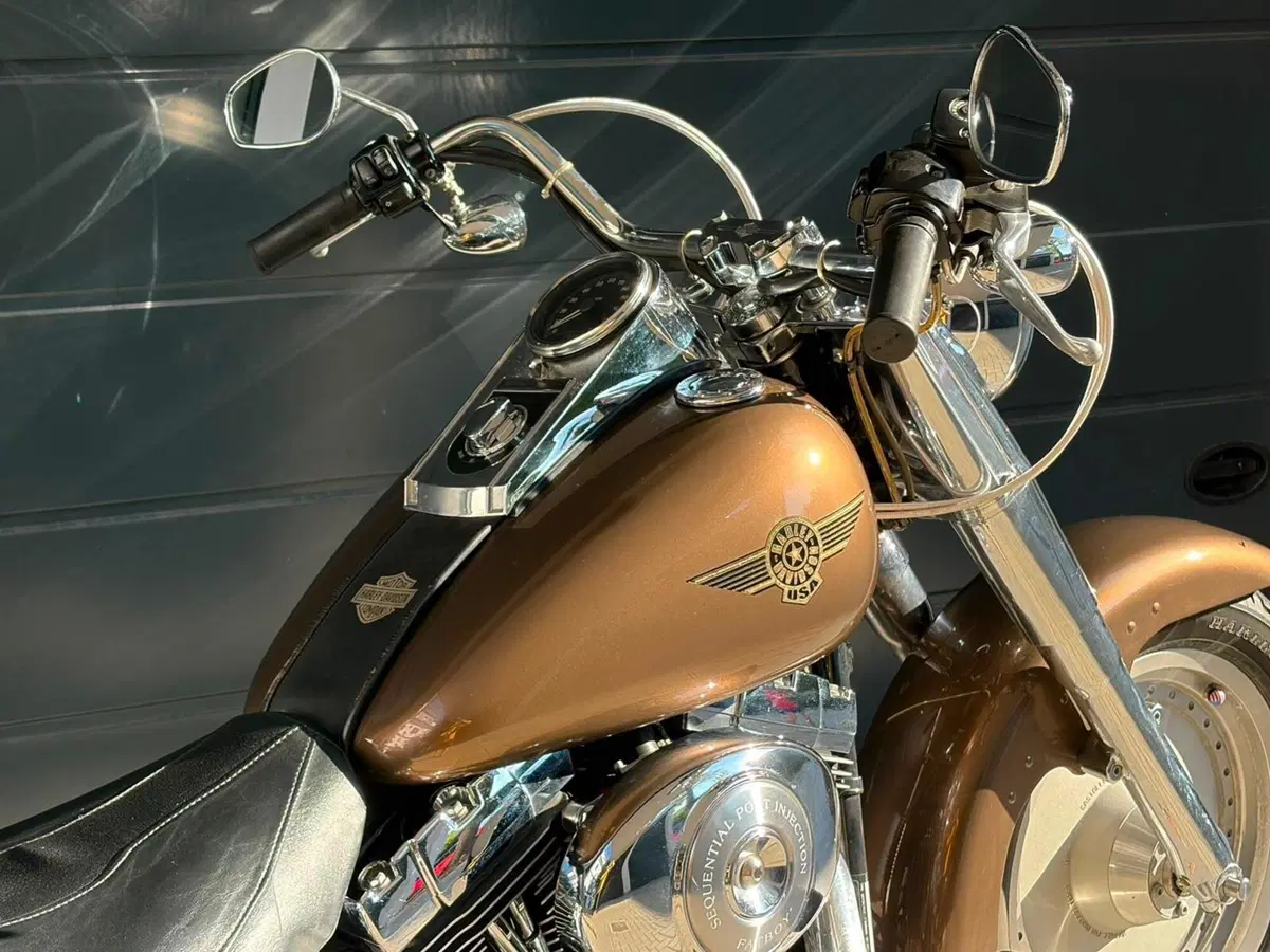 Harley-Davidson 1450 Fat Boy (1999 - 02) - FLSTF (12)