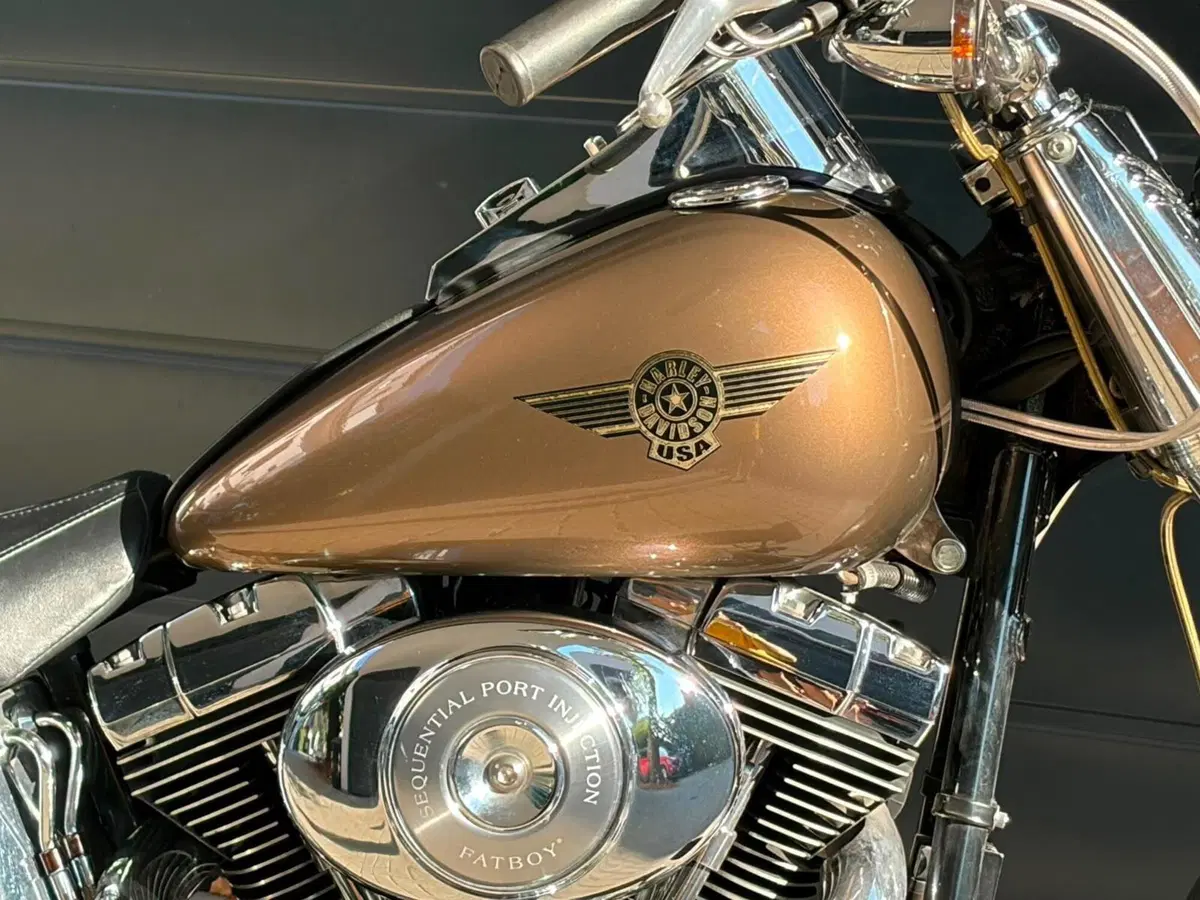 Harley-Davidson 1450 Fat Boy (1999 - 02) - FLSTF (13)