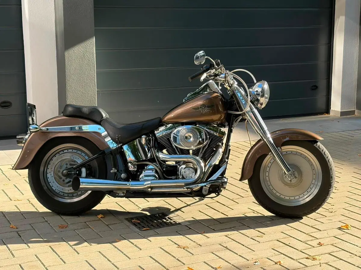 Harley-Davidson 1450 Fat Boy (1999 - 02) - FLSTF (15)