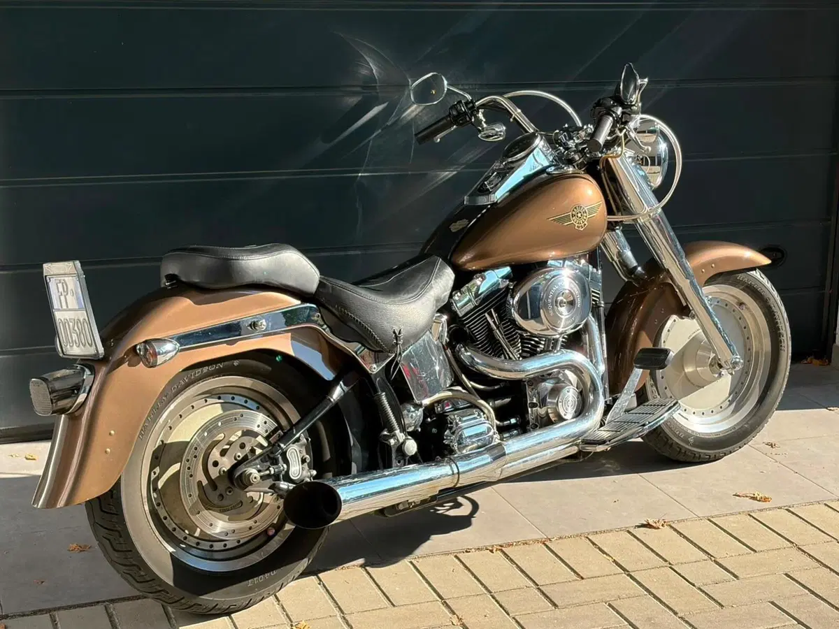 Harley-Davidson 1450 Fat Boy (1999 - 02) - FLSTF (16)