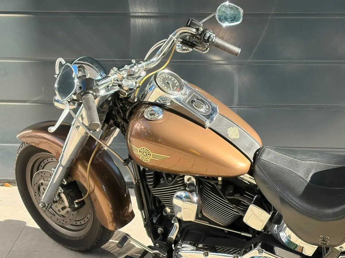 Harley-Davidson 1450 Fat Boy (1999 - 02) - FLSTF (17)